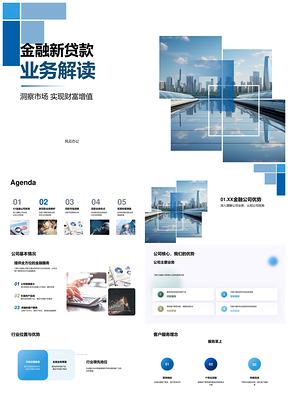 XX金融新贷业务优势服务解析市场竞争分析PPT模板