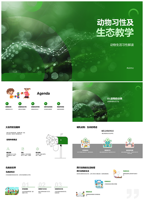 动物生态习性教学与生存环境保护PPT模板