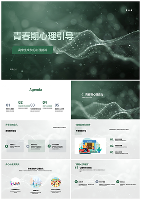 2025高中生青春期心理引导与压力应对技巧PPT模板