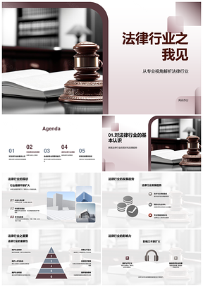 法律行业应聘专业技能与经验展示PPT模板