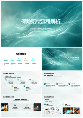 保险赔偿流程政策标准与客户服务解析PPT模板