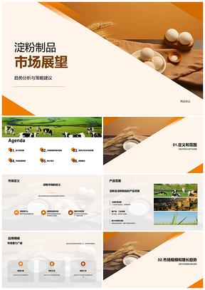 淀粉制品市场规模竞争趋势前景PPT模板