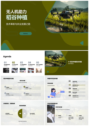 2025无人机稻谷种植精准施肥灌溉技术革新PPT模板
