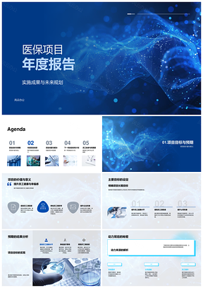 医保项目年度成果规划目标报告PPT模板