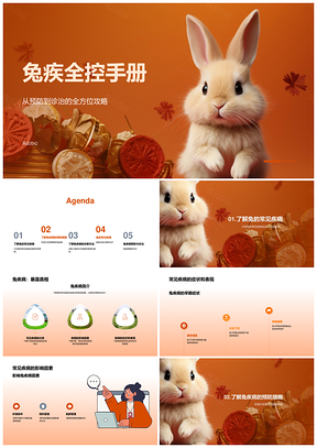 兔疾病防治与健康管理环境卫生饲料控制PPT模板