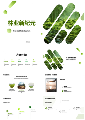 科技战略驱动全球林业创新资源管理政府合作PPT模板