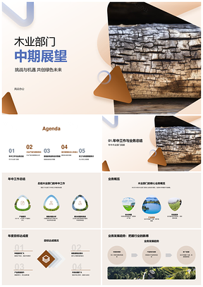 木业部门年中总结产销售趋势及优化分析PPT模板