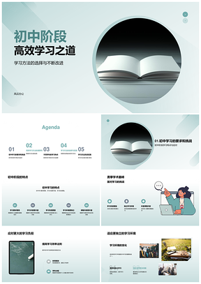 初中数英科高效学习法改进实践PPT模板