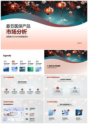 春节医保产品市场策略与消费需求分析PPT模板