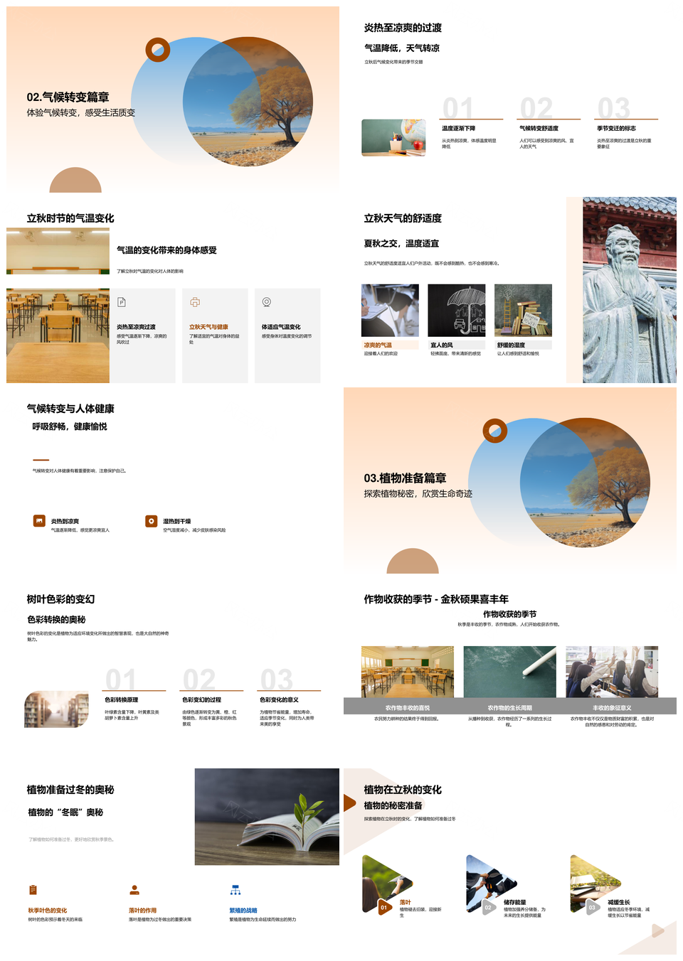 立秋自然温舒叶色斑斓生命健康PPT模板
