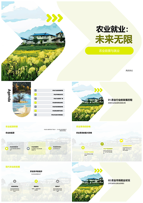 农业就业演变挑战与前景展望PPT模板