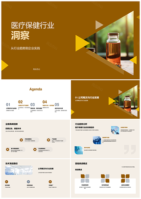 医疗保健行业公司发展与技术创新趋势分析PPT模板