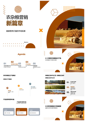 农村杂粮加工产品健康营销新策略PPT模板