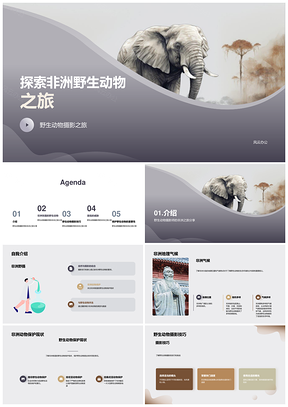 肯尼亚野生动物摄影与大象保护之旅PPT模板