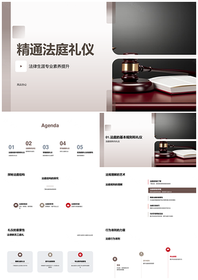 法庭规则庭前礼仪法槌与职业素养精要PPT模板