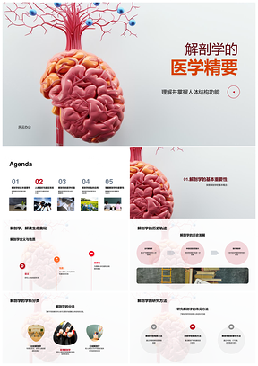 医学解剖学人体结构器官系统功能精要PPT模板