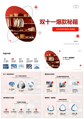 双十一爆款服装设计推广策略跨部门合作PPT模板