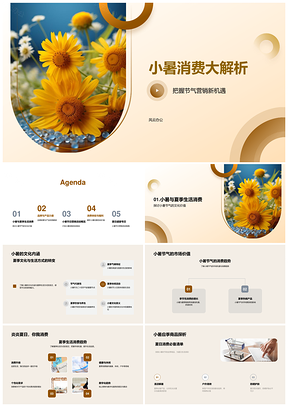 小暑节气营销品牌定位向日葵促销品质生活PPT模板