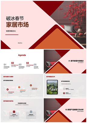 春节家居市场销售策略优化与消费分析PPT模板
