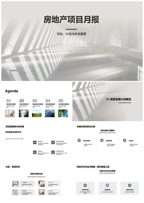 房地产项目评估计划资源预算竞争对手天窗走廊PPT模板