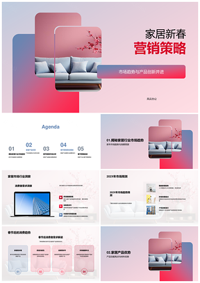 家居春节营销趋势创新产品策略PPT模板