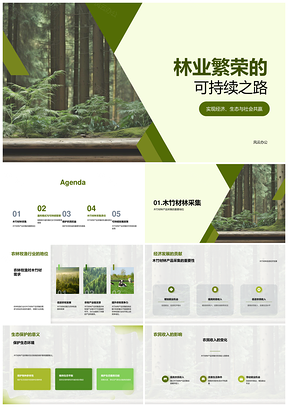 林业可持续管理助生态经济共赢PPT模板