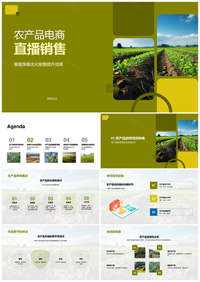 农产品电商直播销售团队培训平台选择优化PPT模板