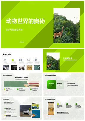 动物生存策略与森林生态多样性探秘PPT模板