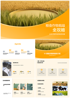 粮食作物稻米小麦玉米大豆栽培技术PPT模板