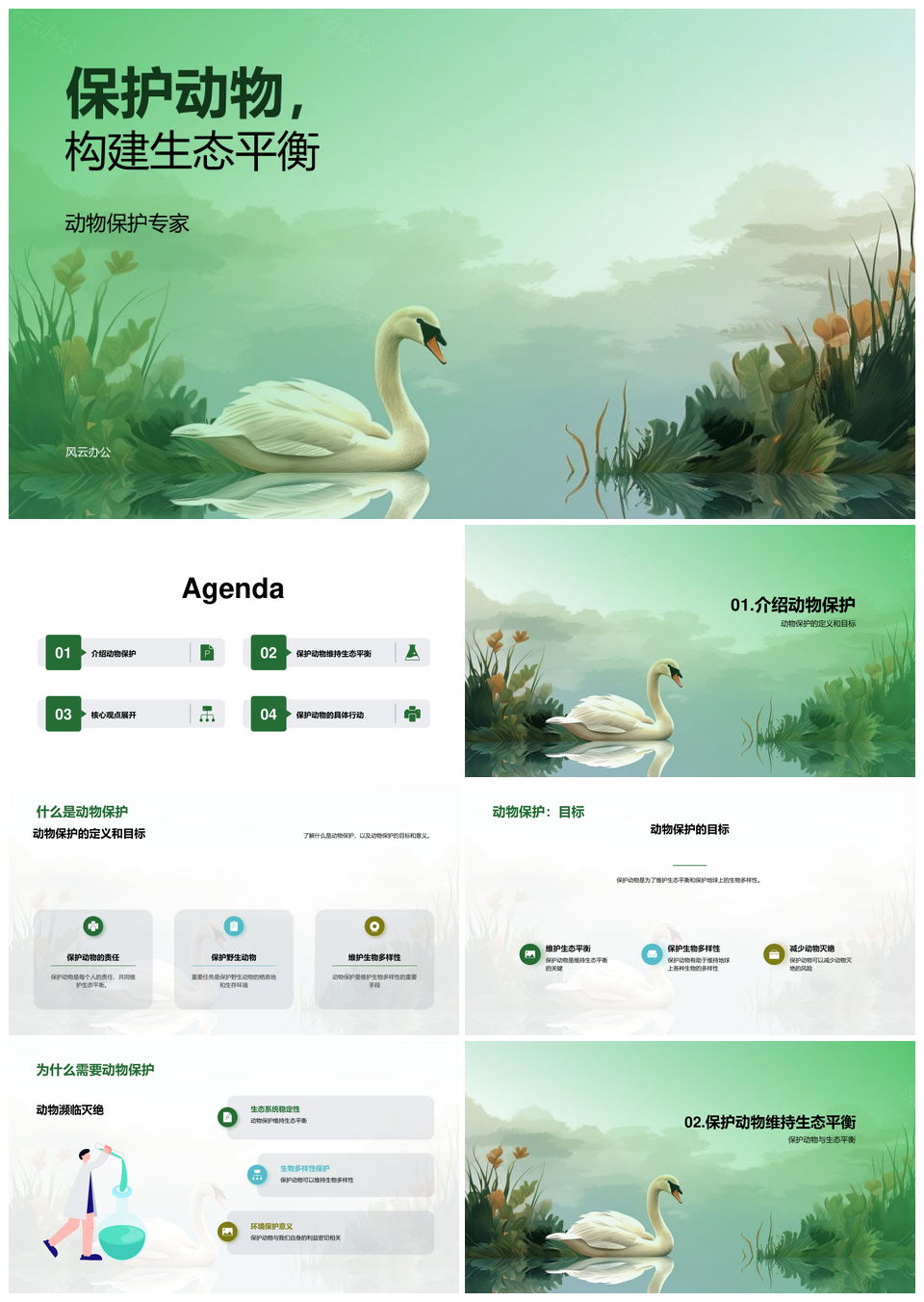 野生动物保护构建生态平衡PPT模板