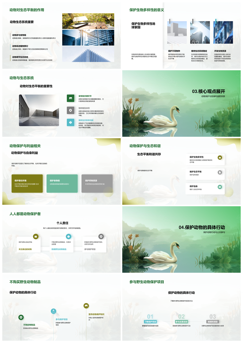 野生动物保护构建生态平衡PPT模板