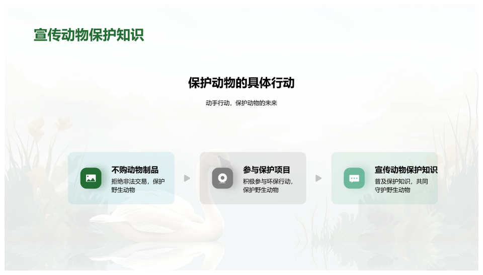 野生动物保护构建生态平衡PPT模板
