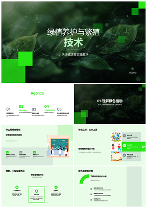 小学生绿植养护繁殖技术与光照教育PPT模板