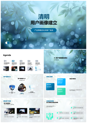 清明用户画像策略优化推广实战需求文化PPT模板