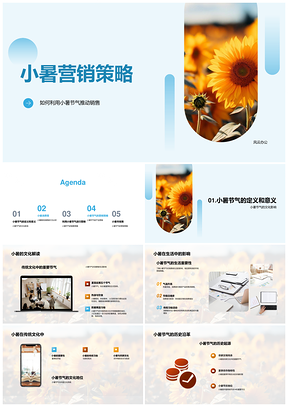 小暑节气消费需求产品推广营销策略PPT模板