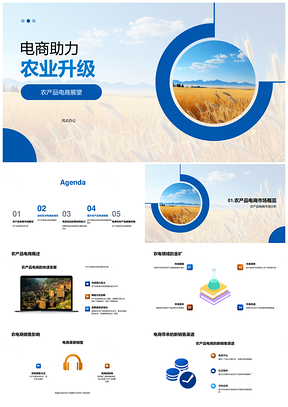 政策支持农产品电商助农升级拓销路PPT模板