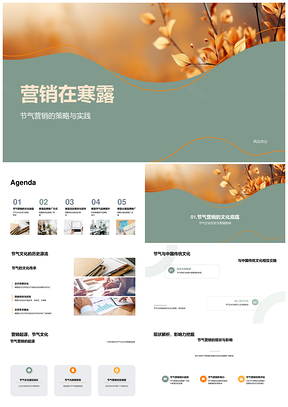 寒露节气品牌营销策略活动策划PPT模板