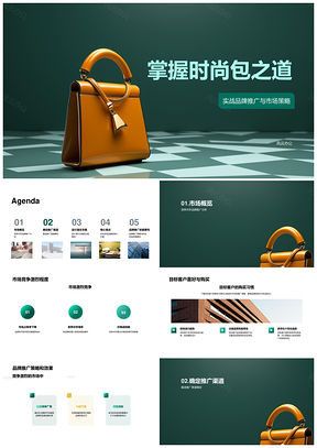时尚手袋品牌推广策略目标客户购买习惯PPT模板