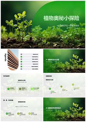 幼儿科学探索植物发芽成长奥秘PPT模板