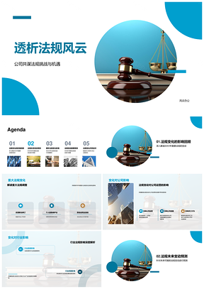 2025法规风云透析与企业行业策略应对PPT模板