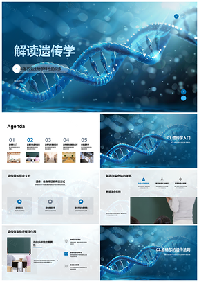 遗传学基因染色体生物多样性孟德尔研究PPT模板