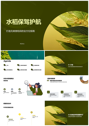 植物病理学家指导农民防控水稻病害PPT模板
