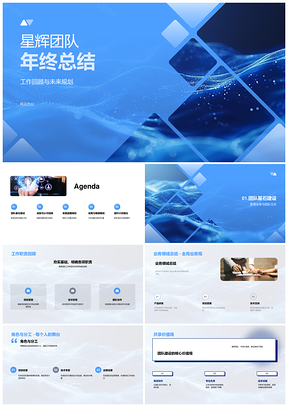 2025星辉团队年终业务文化任务贡献技术总结PPT模板