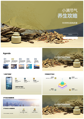 小满中医养生饮食运动调养指南PPT模板