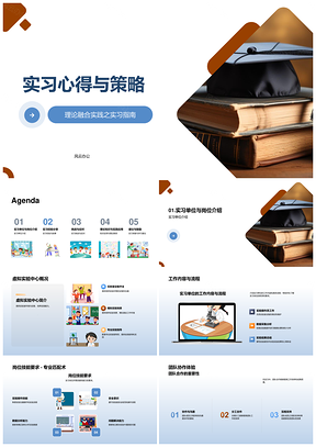 实习经验技能挑战应对与理论实践融合PPT模板