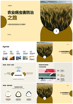 小麦田病虫害生物化学物理防治策略PPT模板