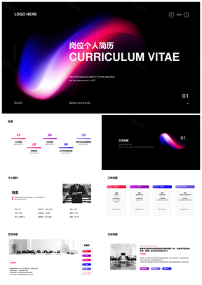 会计岗位个人简历业绩经历经验分析改正未来方向PPT模板