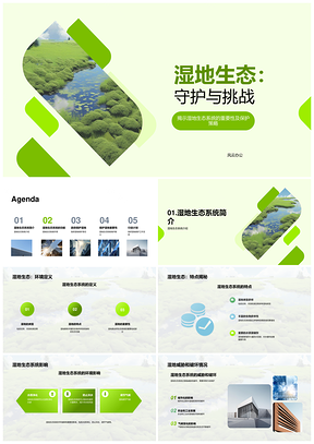 保护湿地生态系统专家政府守护行动PPT模板