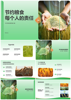 守护粮食责任农民农田麦子节约PPT模板