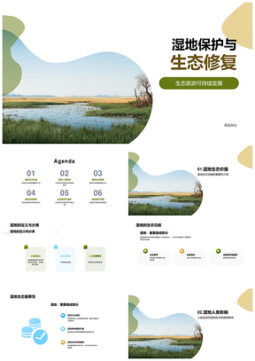 湿地保护修复遏制人类活动维护生物多样性PPT模板